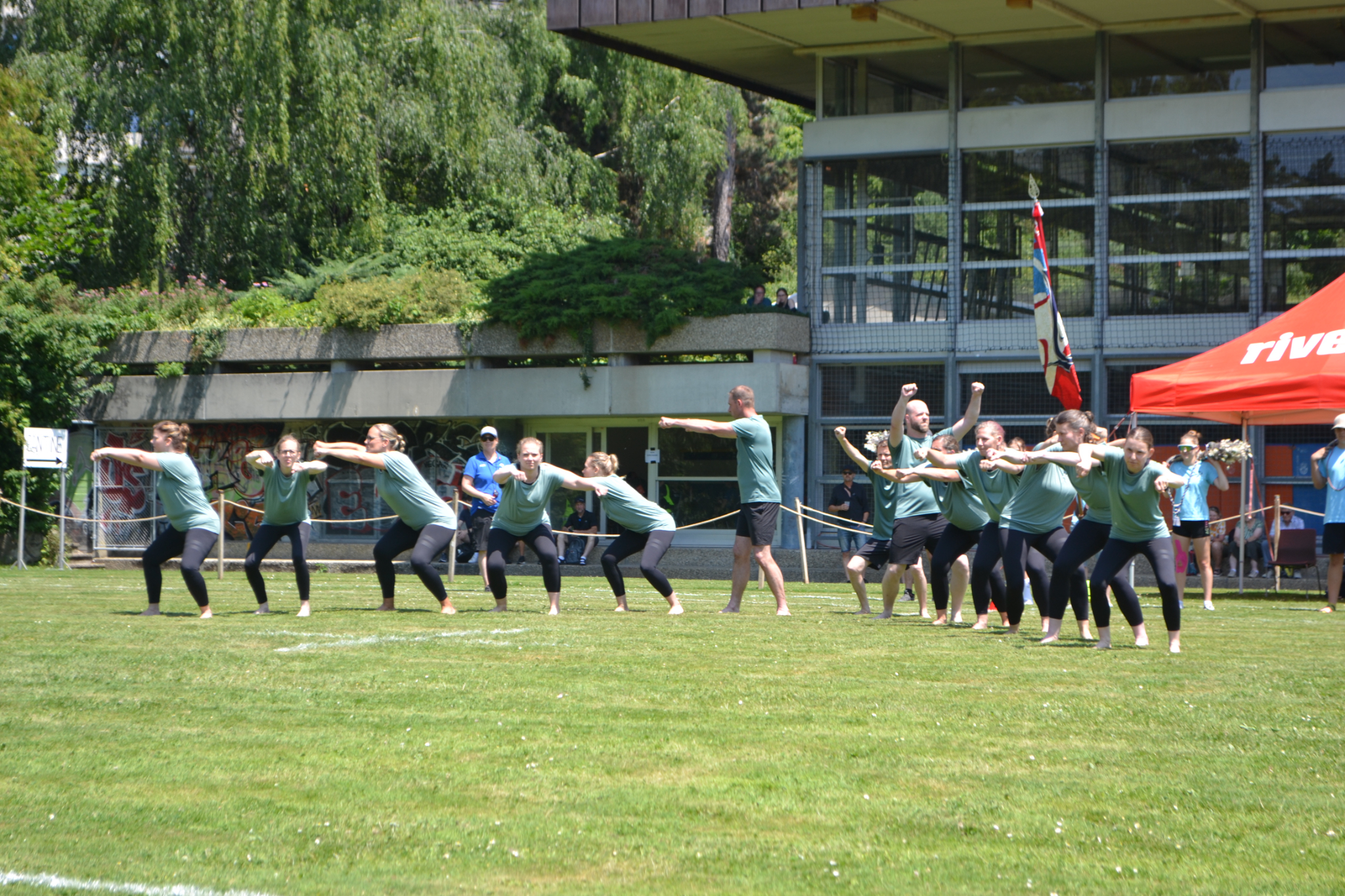 Bild (1)